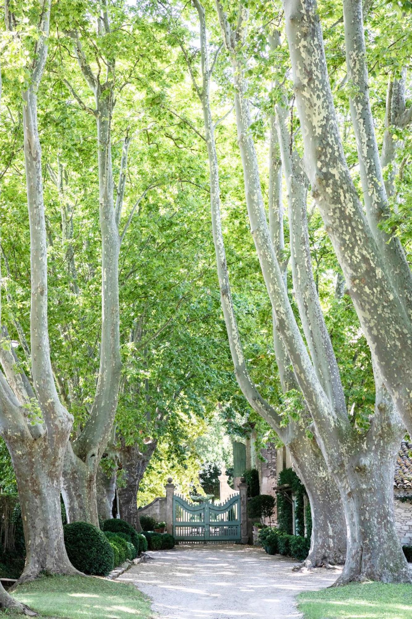 Domaine De Chalamon Bed & Breakfast Saint-Rémy-de-Provence Dış mekan fotoğraf